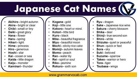 japan name for cat|japanese girl names meaning cat.